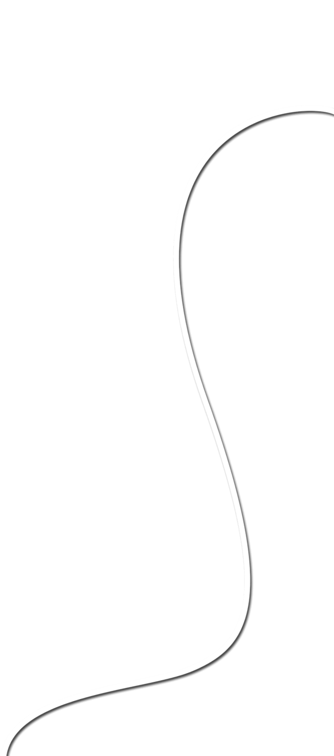 Decorative Graphic Shape